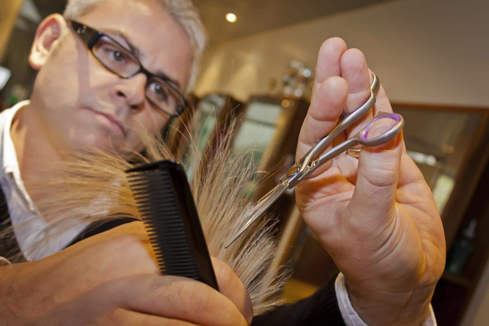 Hairdressing Terms In French Renestance